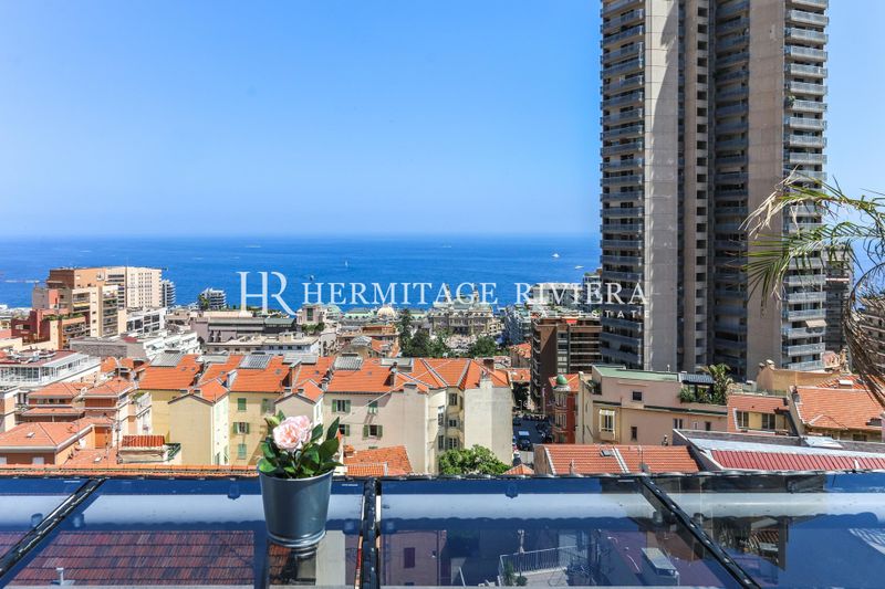 3-bedroom apartment - Top floor - Renovated - Overlooking Monaco