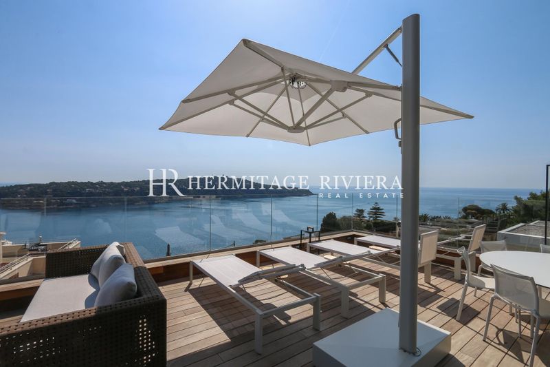 Stunning villa with views of Cap Ferrat